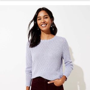 Loft Scalloped Pointelle Sweater